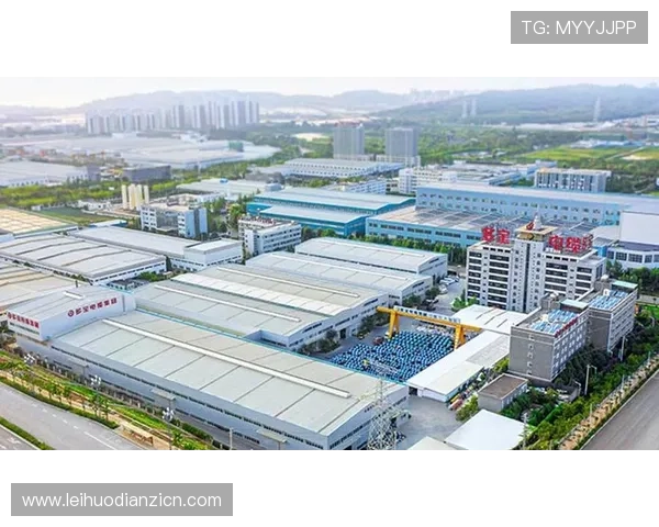 多宝电子集团的研发投入与技术创新对行业的推动作用